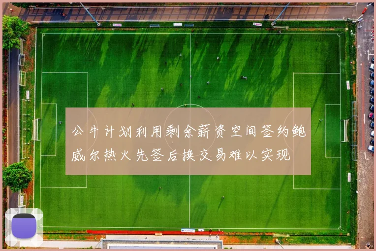 公牛计划利用剩余薪资空间签约鲍威尔热火先签后换交易难以实现