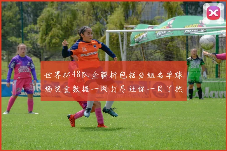 世界杯48队全解析包括分组名单球场奖金数据一网打尽让你一目了然