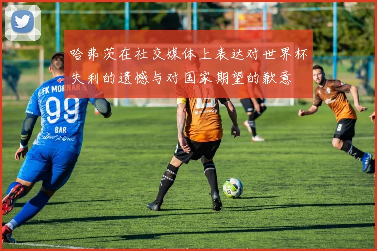 哈弗茨在社交媒体上表达对世界杯失利的遗憾与对国家期望的歉意